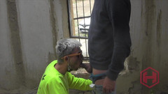 Amadeus studio: Cruising