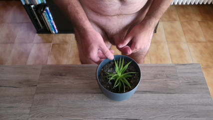 Cicci77: Cicci77 își hrănește plantele cu pișat și spermă pentru a le face...