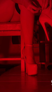 You Are the Obedient Pet of the Goddess Renata Fox and the Whole Point of Your Worthless Life Is to Serve the Goddess