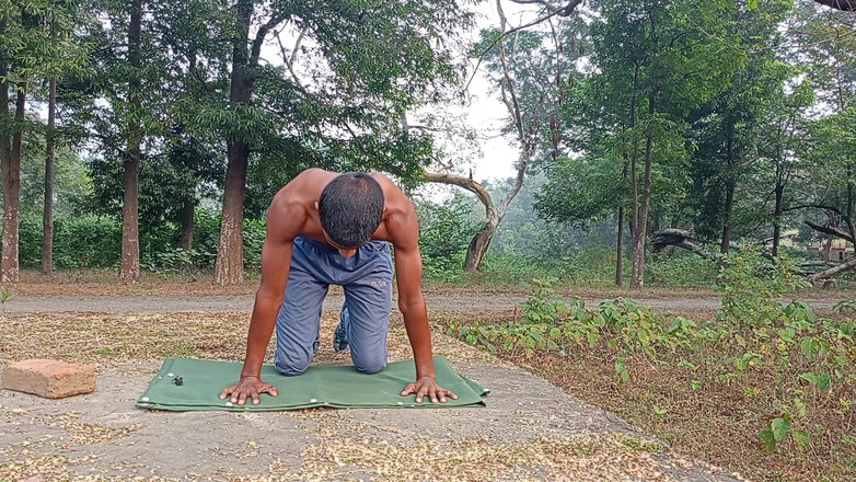 LinearOrnament35: Sesso fase di allenamento lungo compressa