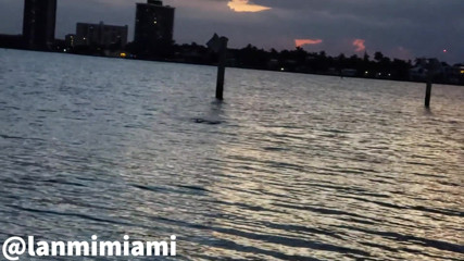 Lanmi Miami: Step-siblings got caught outdoor