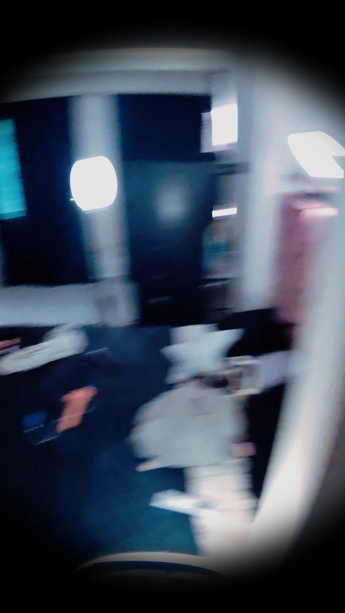 PABLO N3GROBAR: シーズン4 - カミーベアの主観