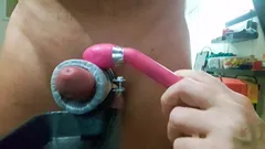 Ordenha sem mãos