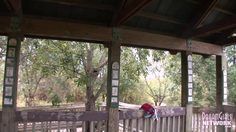 Dream Girls: Crazy latina MILF's fuck at a park