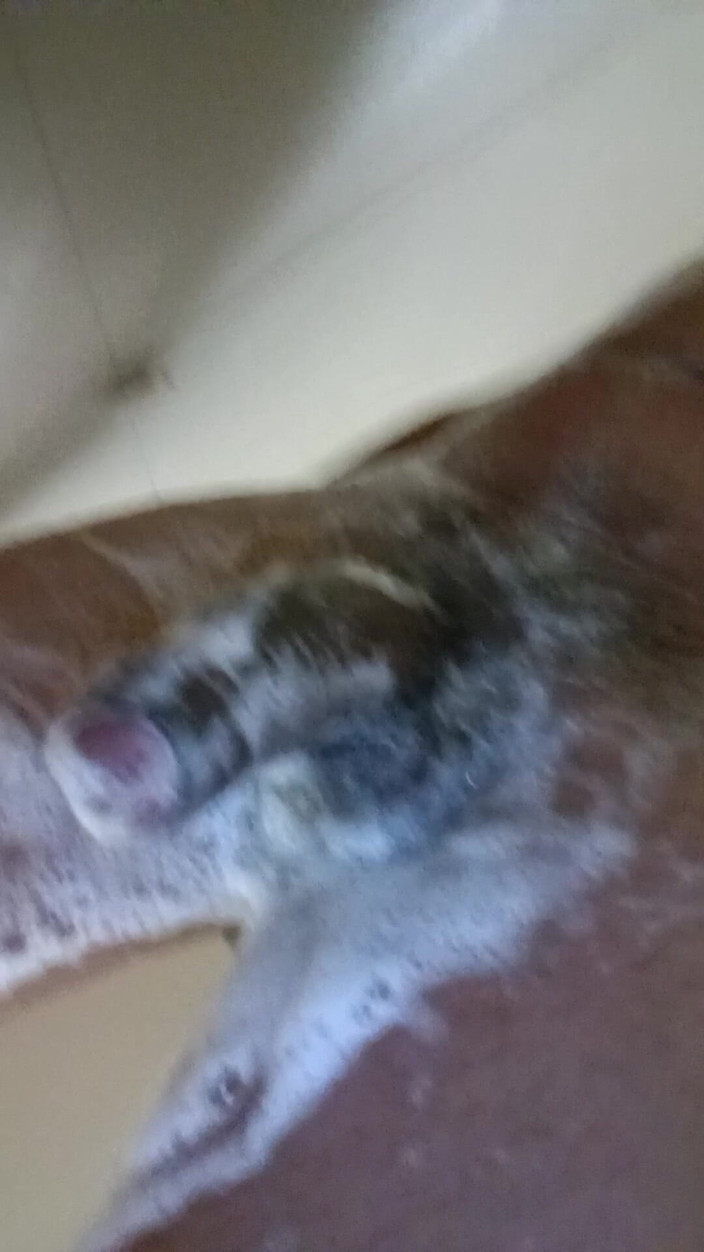 Boy top Amador: Det Var Väldigt Gott Och Jag Filmade Det För Mina...