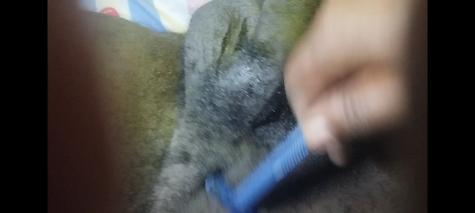 Jolly dragon3: Les rasages d’un couple par la femme bigapostrophe68 le samedi