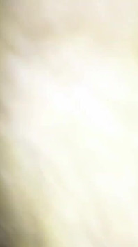 Premi Premika Video Hindi