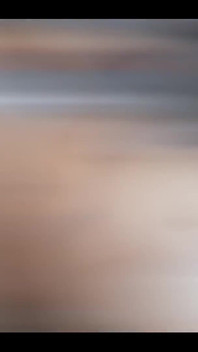 Put It Inside Please