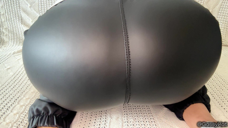 GassyKat: Leather face farts pov: pantat di wajahmu