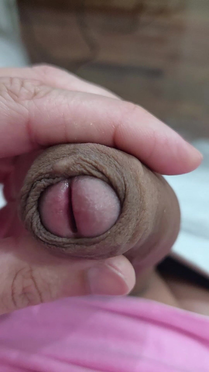 Lkdick8: The Head of My Penis