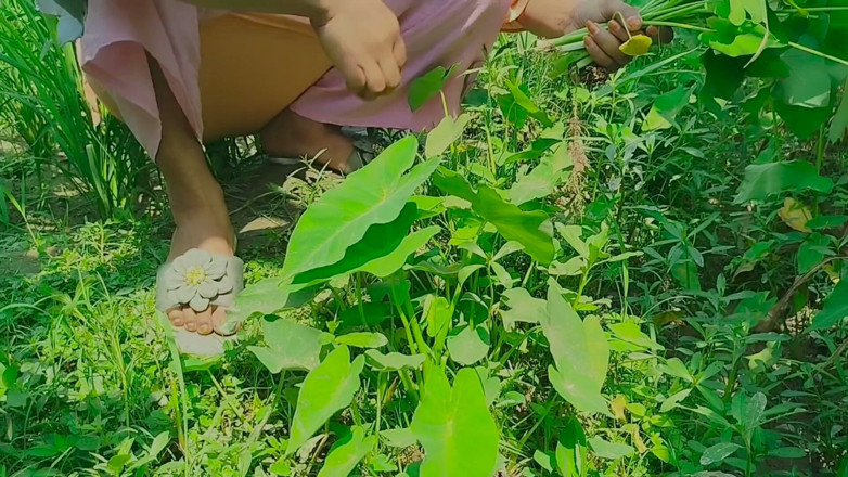Deshi women: Gaon'un desi chudai orman mein mangali