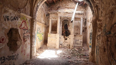 Magia Rosa: 숲에서 이런 것을 발견하면 어떨까요?