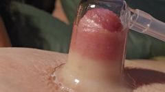 Big Fat Nipple