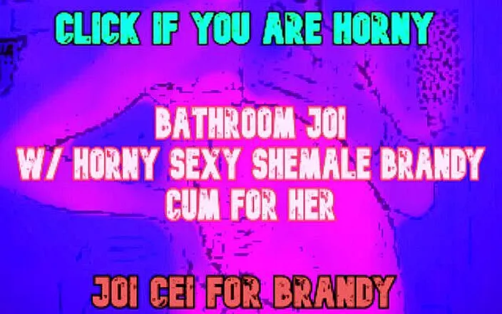 Shemale Domination: AUDIO ONLY - Be dominated by a shemale on your toilet...