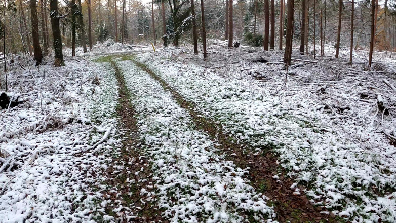 Bouncy Tits Action: Heating and Beating up Her Tits in Icy Woods