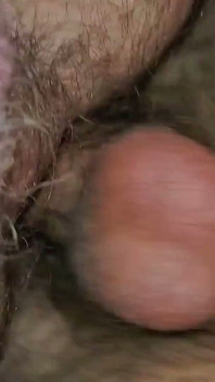 Experience with Bear Stepdaddy