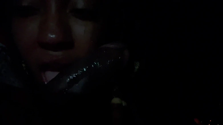 Fijii pornbox: Quick Blowjob in the Car