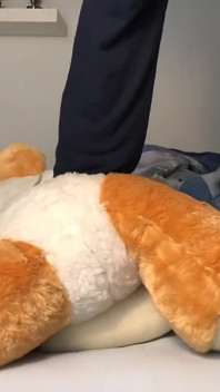 Teddy Orgasm Morning Dirty Talks Solo Cum