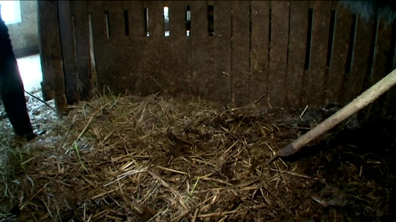 BDSM Deutschland: La Ragazza Monella Della Fattoria Si Stuzzica Con Doppia Penetrazione