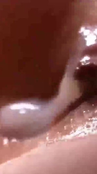Close up Pussy Masturbation Compilation