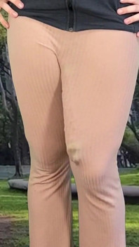 Huge Dick Shemale Hands Free Cum Outdoor