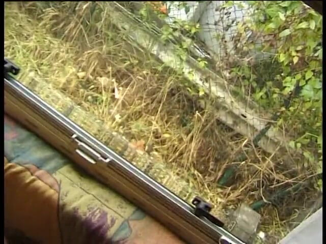 Lucky Cooch: Brunette sletten delen een lul in een busje