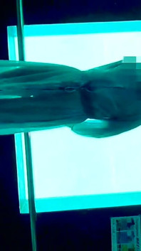 Chu Married Woman Training Mayu No73 Aquarium Exposure Date in a Nude Sheer Dress