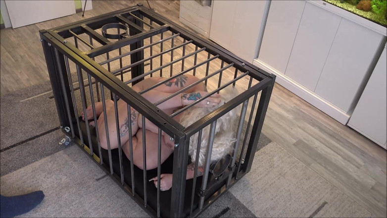 Sex and BDSM Slaves by her Master: 快楽のために使われる性奴隷