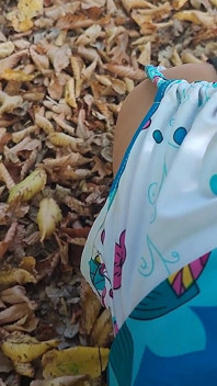 Outdoor Oral and Anal Sex