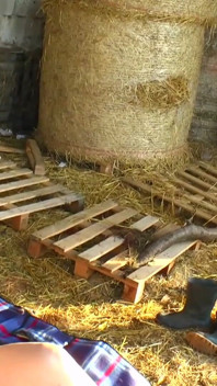 Ragazza da scopare tettona viene sbattuta dal marito all'aperto