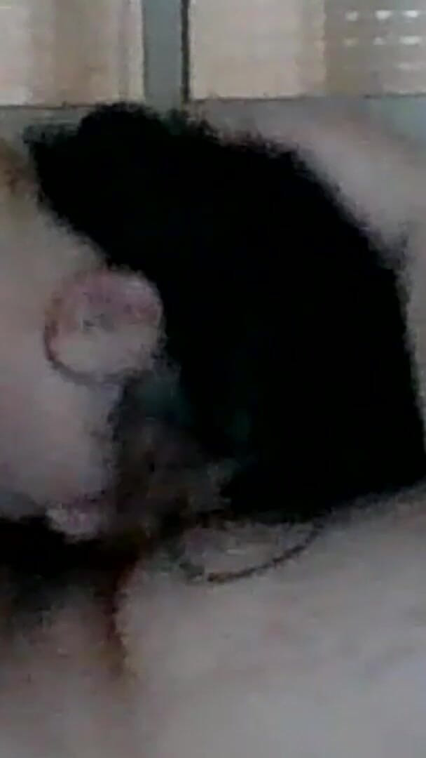 Jcespana: My Little Slut Blowjob