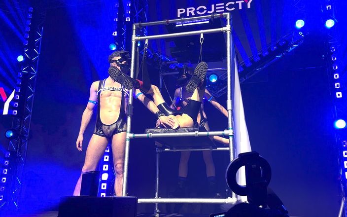 Project Y studios: Chương trình khiêu dâm doggy trực tiếp