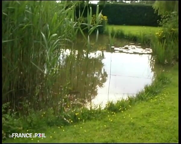 French Family Secrets: Ngentot enak banget!