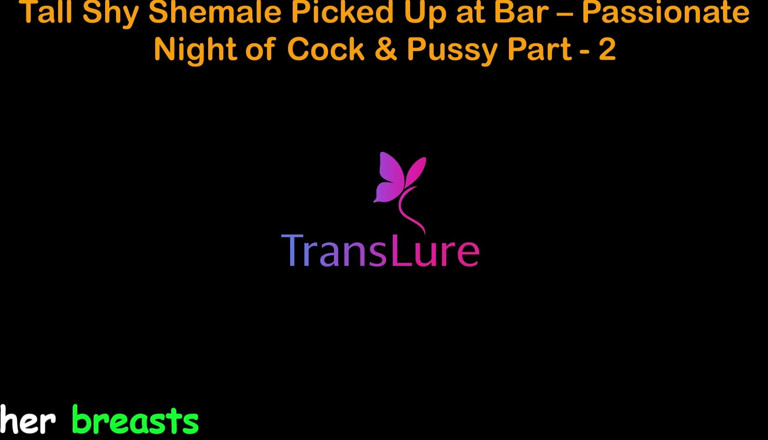 TransLure: English Audio Sex Story - Tall Shy Shemale Picked up at...