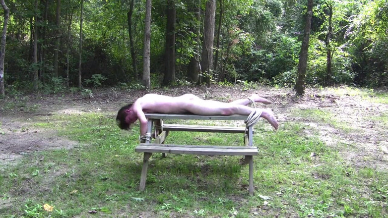 Dream Boy Bondage: Mesa coronada - capítulo 2