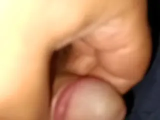 The Small Bull: 400 Views Short Video.