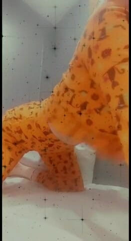 Lolafuccbunny: Pigiama twerka no audio