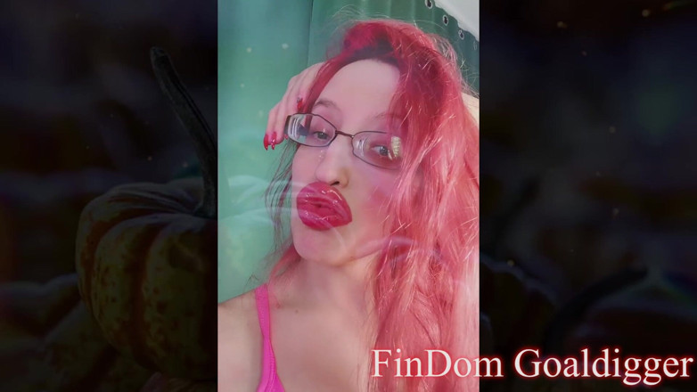 FinDom Goaldigger: Sexy slut Girl Transformation in LA