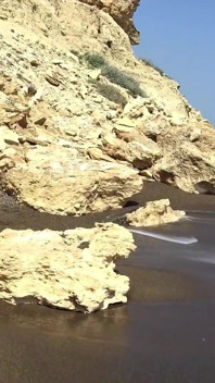 Bitch on the Beach