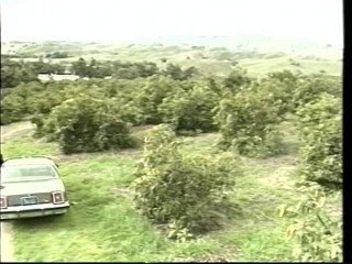 Old Good Porn: Tato dívka dostane během letu tohoto velkého ptáka celý do...