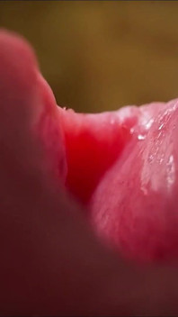Sperm Close-up Front