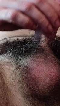 Hairy Close up Kutas Dick Balls Ass wytryski