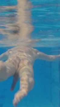 Indoor Public Pool Solo Uncut Nude Fit Man Swimming
