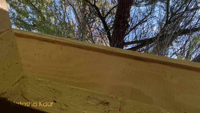 Natasha Kaur: Kompilasi solo berbulu & b/g kencing