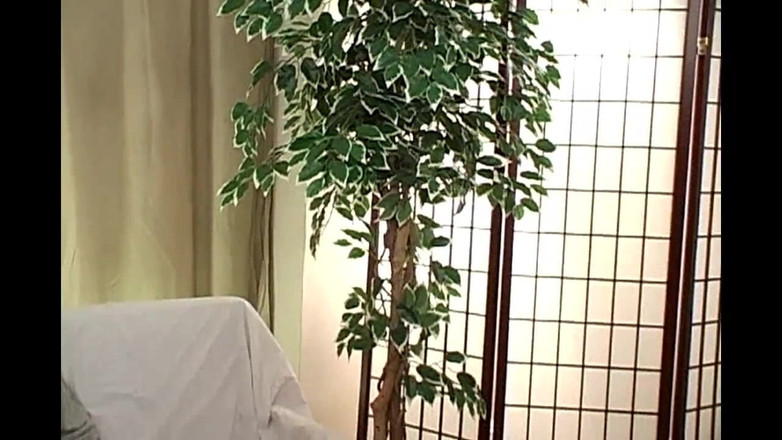 American Idol X: Pantat besar yang cantik dapat pancutan mani pada teteknya