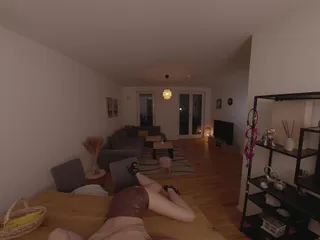 Micky Muffin VR: Homeoffice with My Boss