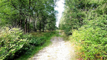 Bouncy Tits Action: 只有一个奶子在公共场合被惩罚