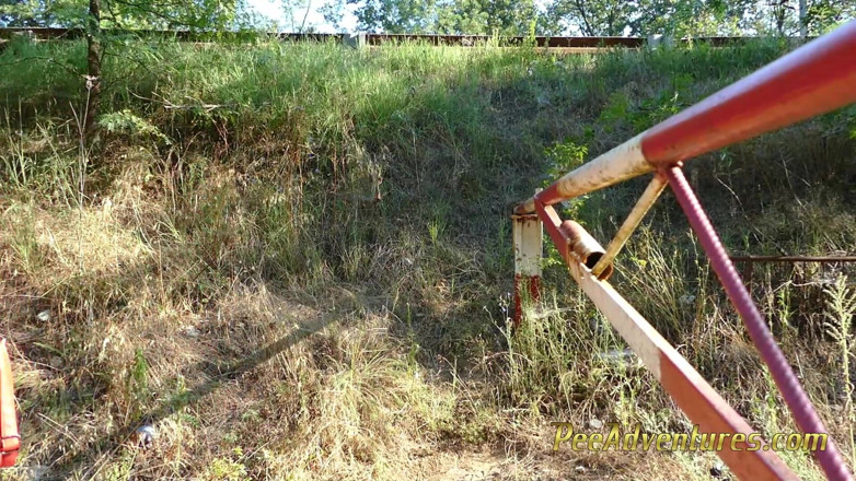 Pee Adventures: Yol kenarında idrar kesesini boşaltıyor