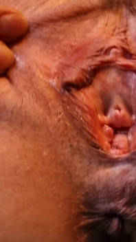 Close up on My Gaping Pussy and Ass