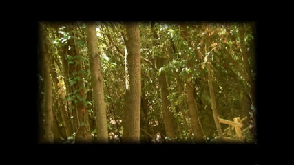 FM Video VOD: 索菲亚贝鲁奇在：区别标记：美丽！